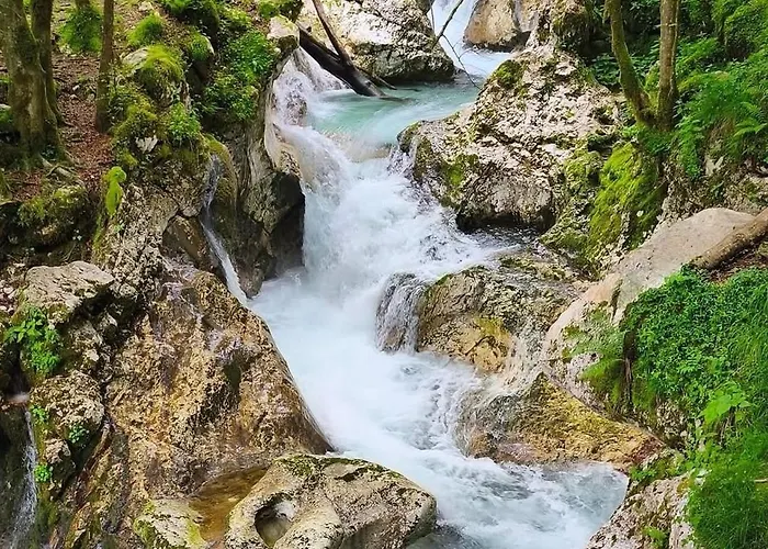 Riverside Apartma 1, Kranjska Gora